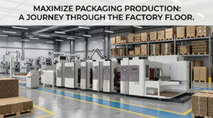 A professional corrugated box printing machine factory floor showcasing a complete multi-color printer and slotter system.